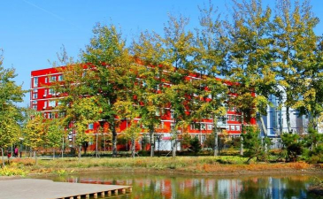 北京昌平区新东方双语学校