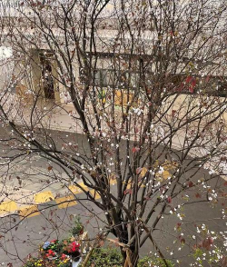 重庆市涪陵江东高石幼儿园