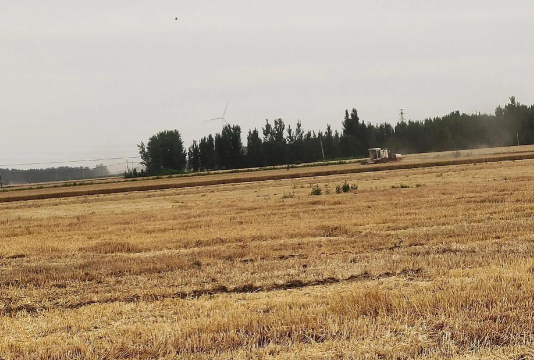 东杨庄乡二十三中学