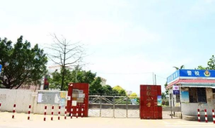 佛山市顺德区杏坛新联小学