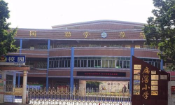 佛山市顺德区容桂扁滘小学