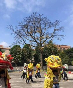 佛山市顺德区勒流众涌小学