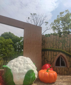 丰都县社坛镇大堡陈家岩村幼儿园