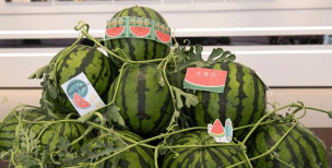 大宁县曲峨镇曲峨中学