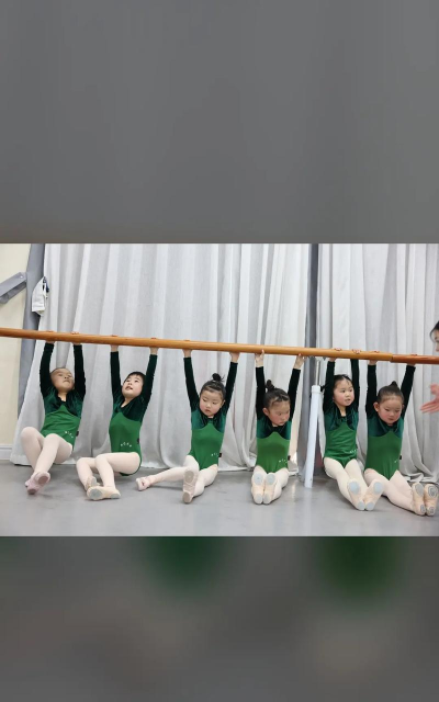 银川市兴庆区瀚艺艺术培训中心有限公司