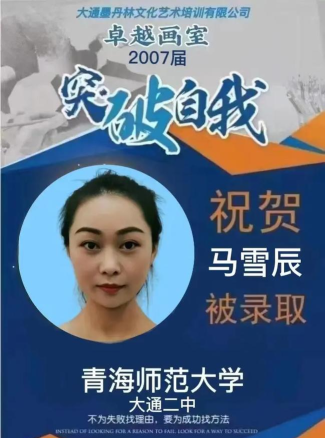 大通墨丹林文化艺术培训有限公司