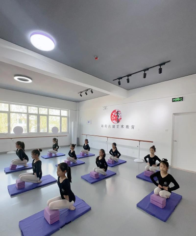 石嘴山市大武口区舞之舞教育培训有限公司