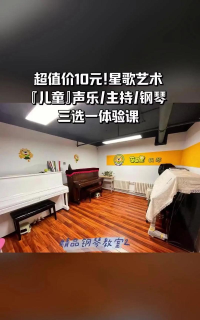 广州星歌艺术培训中心有限公司