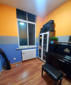 奉新县有琴声艺术培训中心有限公司