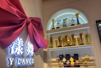 崇仁县爱丽丝舞蹈培训中心有限责任公司宝水分公司