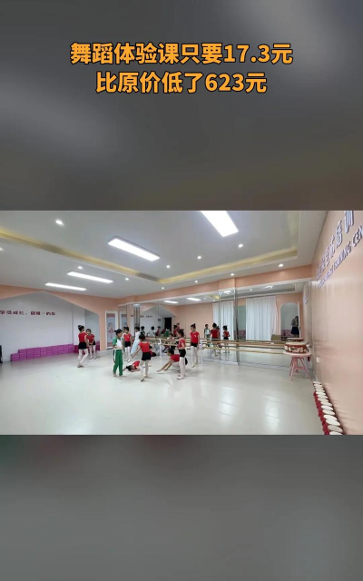 定安县舞之灵艺术培训中心有限公司