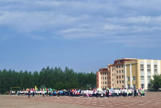 绥滨县二九O农场中学