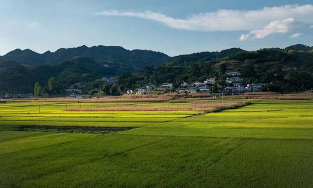 落卜镇云山私中