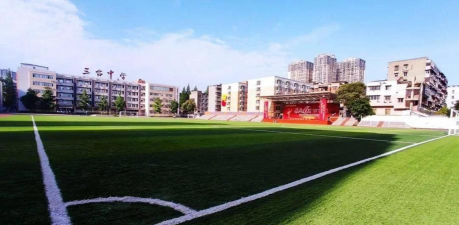 三台县双胜初级中学校