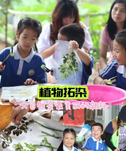 罗村小学