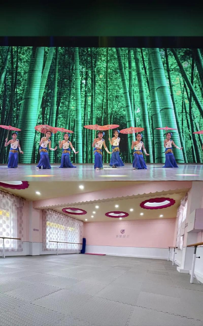 葫芦岛市连山区蓓蕾艺术辅导有限公司