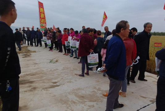 长安区炮里乡初级中学