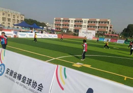 庐江县白山镇中心小学