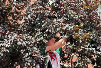 临海市大田小学