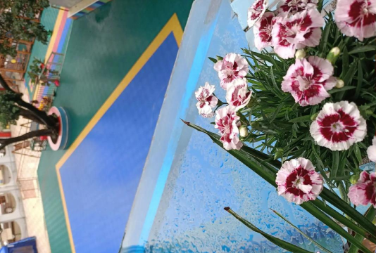 呼图壁二十里店明珠幼儿园