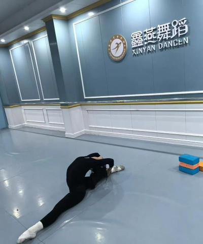 常德市武陵区鑫燕艺术培训学校有限公司