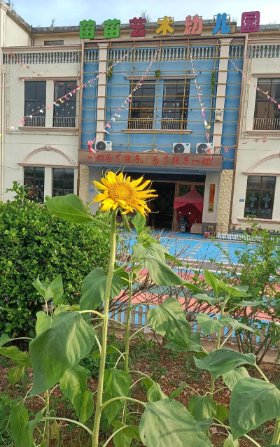 长沙县北山镇苗苗艺术幼儿园