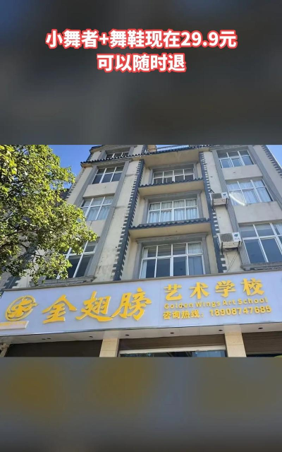 罗平金翅膀艺术培训学校有限公司