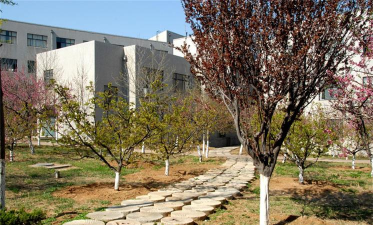 大站镇菜洲教学点