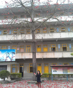 白塔镇塔东中心小学