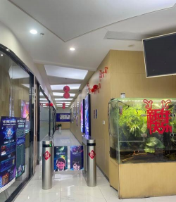 淄博德智美艺术培训学校有限公司