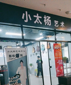 东平县小太阳艺术培训学校有限公司