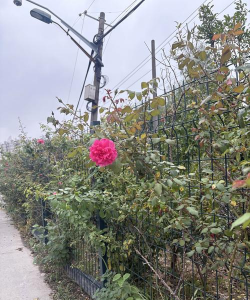 镇江雷霆体育发展有限公司