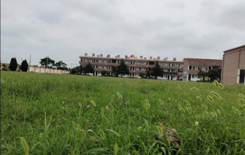 濉溪县杨柳乡中心学校