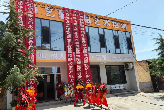 宁波杭州湾新区艺馨艺术特长培训有限公司