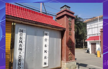 弥勒市东风农场东三木培训学校有限公司