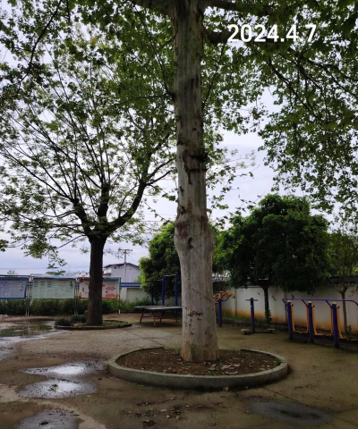 德阳市绵竹市土门镇中心小学