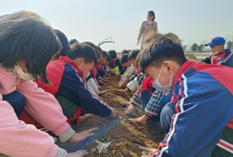 栖霞市官道小学