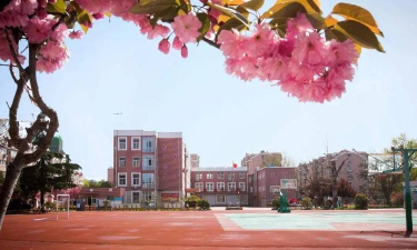 青岛市李沧区四流中路第三小学