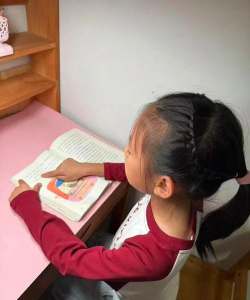 武都镇双埝小学