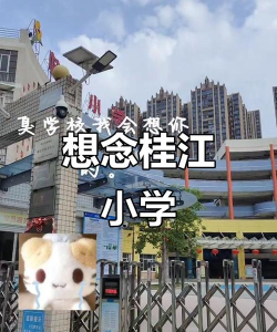 南海区桂江小学