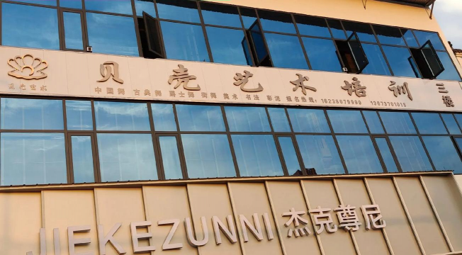 新昌县金贝艺术培训有限公司