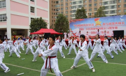 昆明市嵩阳小学(嵩阳小学)(原嵩阳一小)