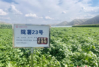 下甲乡陇凤村中心小学