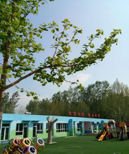 文登市泽头镇下泊子幼儿园