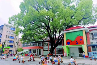 黎明集团幼儿园