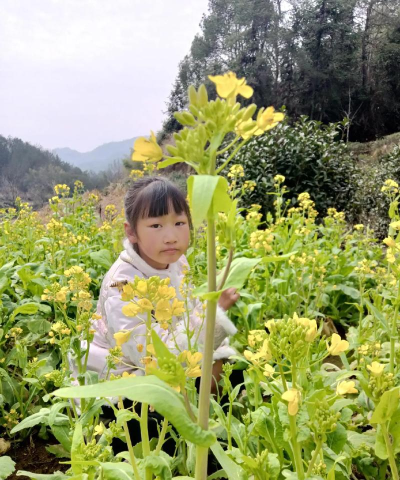新龙县乐安中心小学