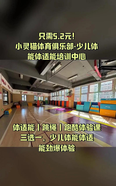 宜昌东辰灵猫体育培训有限公司