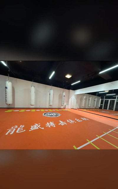 内蒙古巅峰龙博武馆有限公司