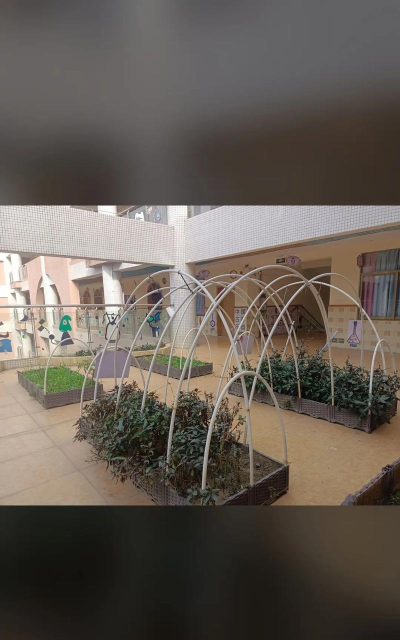 东莞市沙田星星之光幼儿园