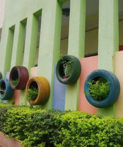 深圳市龙华区新围国育第一幼儿园